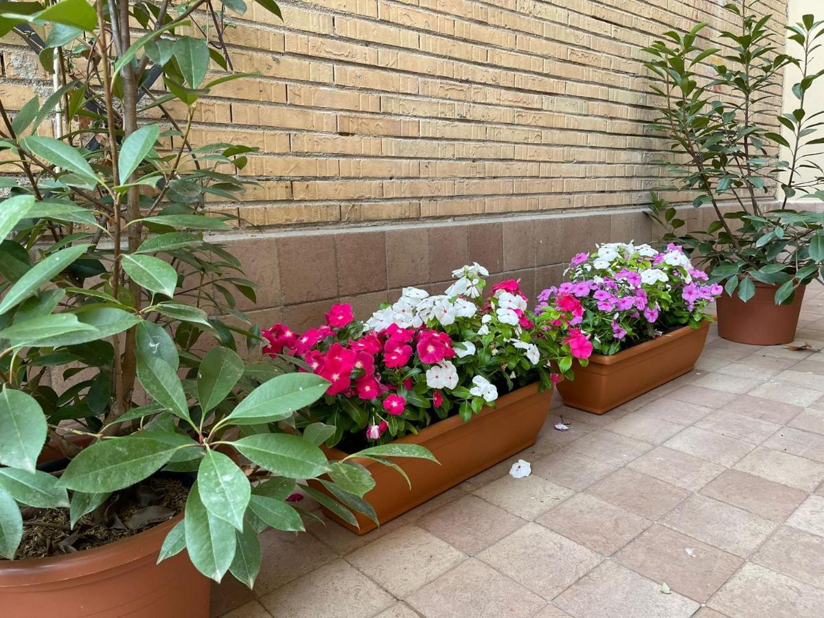 Flowers In Roma Dış mekan fotoğraf